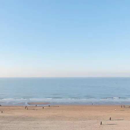 Lecomte - The Shoreline 95