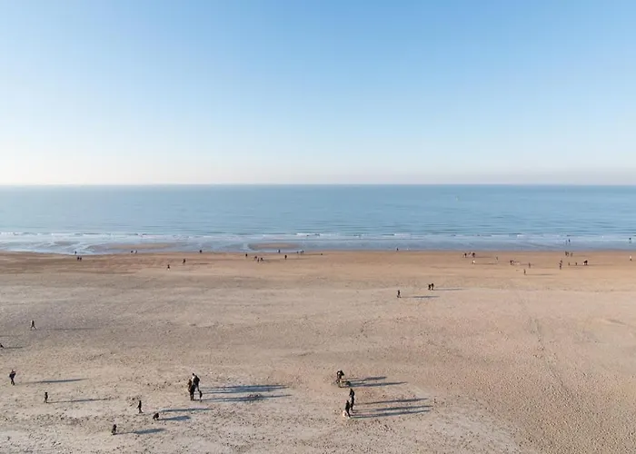 Lecomte - The Shoreline 95 Apartment