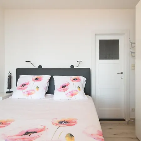 Lecomte - The Shoreline 95 * オステンド